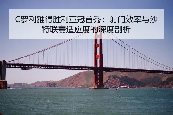 luo-li-ya-de-sheng-li-ya-guan-shou-xiu-she-men-xiao-lv-yu-sha-te-lian-sai-shi-ying-du-de-shen-du-pou-xi-3-696.jpg