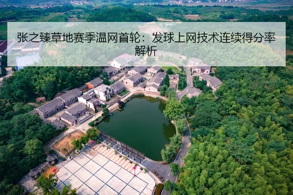 张之臻草地赛季温网首轮：发球上网技术连续得分率解析