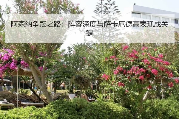 a-sen-na-zheng-guan-zhi-lu-zhen-rong-shen-du-yu-sa-ka-e-de-gao-biao-xian-cheng-guan-jian-2-288.jpg