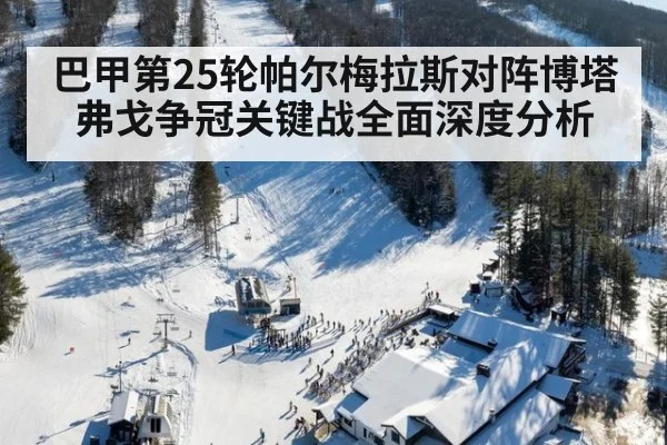 巴甲第25轮帕尔梅拉斯对阵博塔弗戈争冠关键战全面深度分析